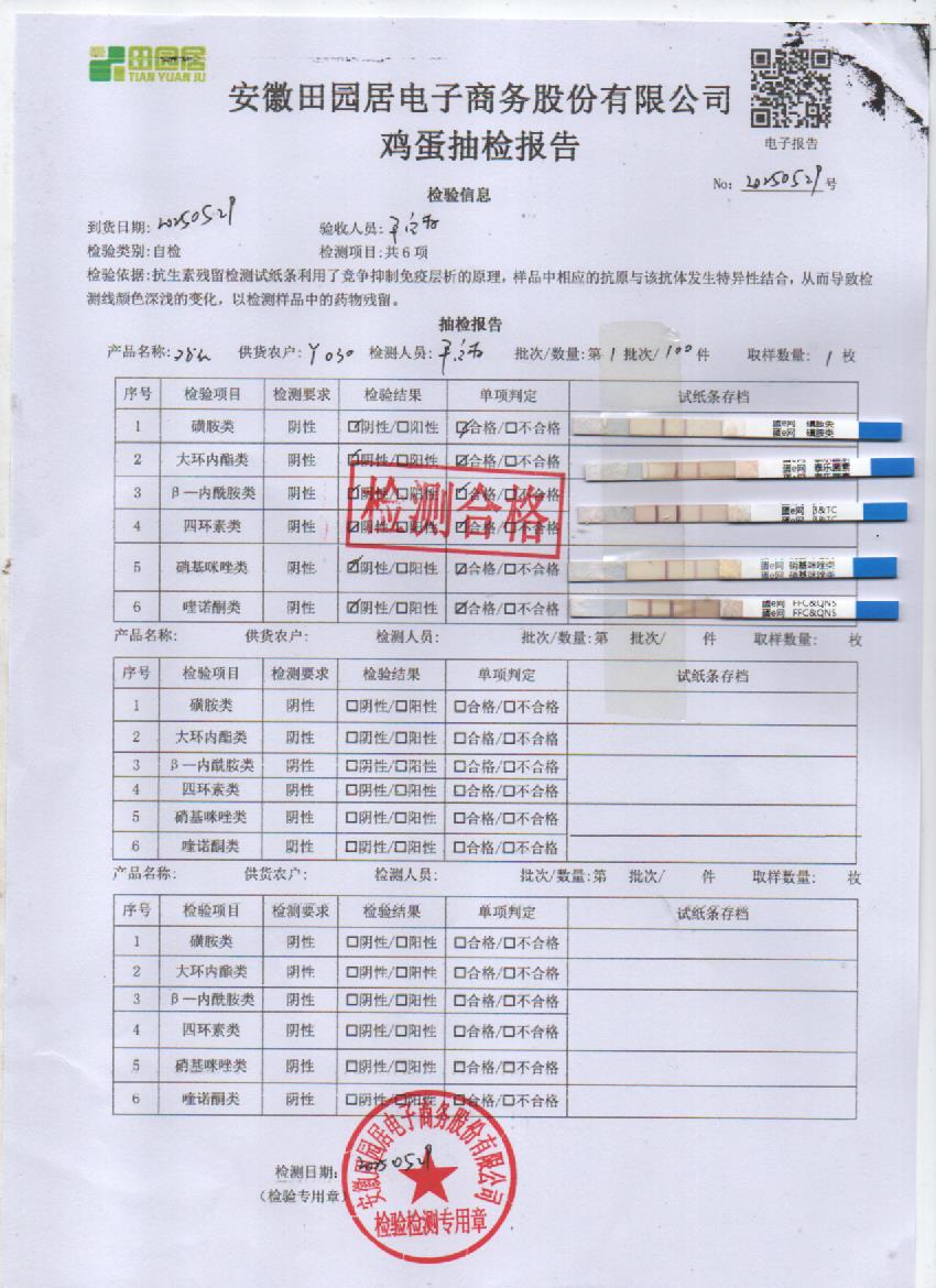 2025年5月29号鲜鸡蛋检测报告