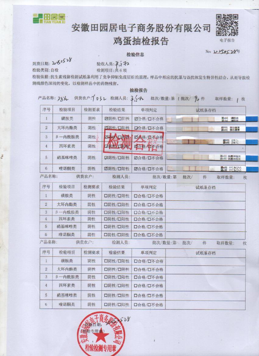 2025年5月28号鲜鸡蛋检测报告