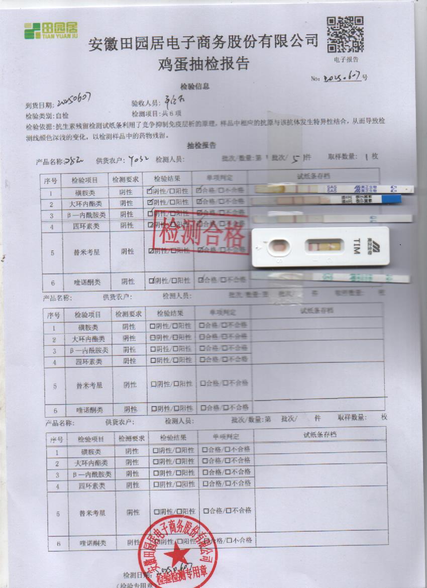 2025年6月7号鲜鸡蛋检测报告