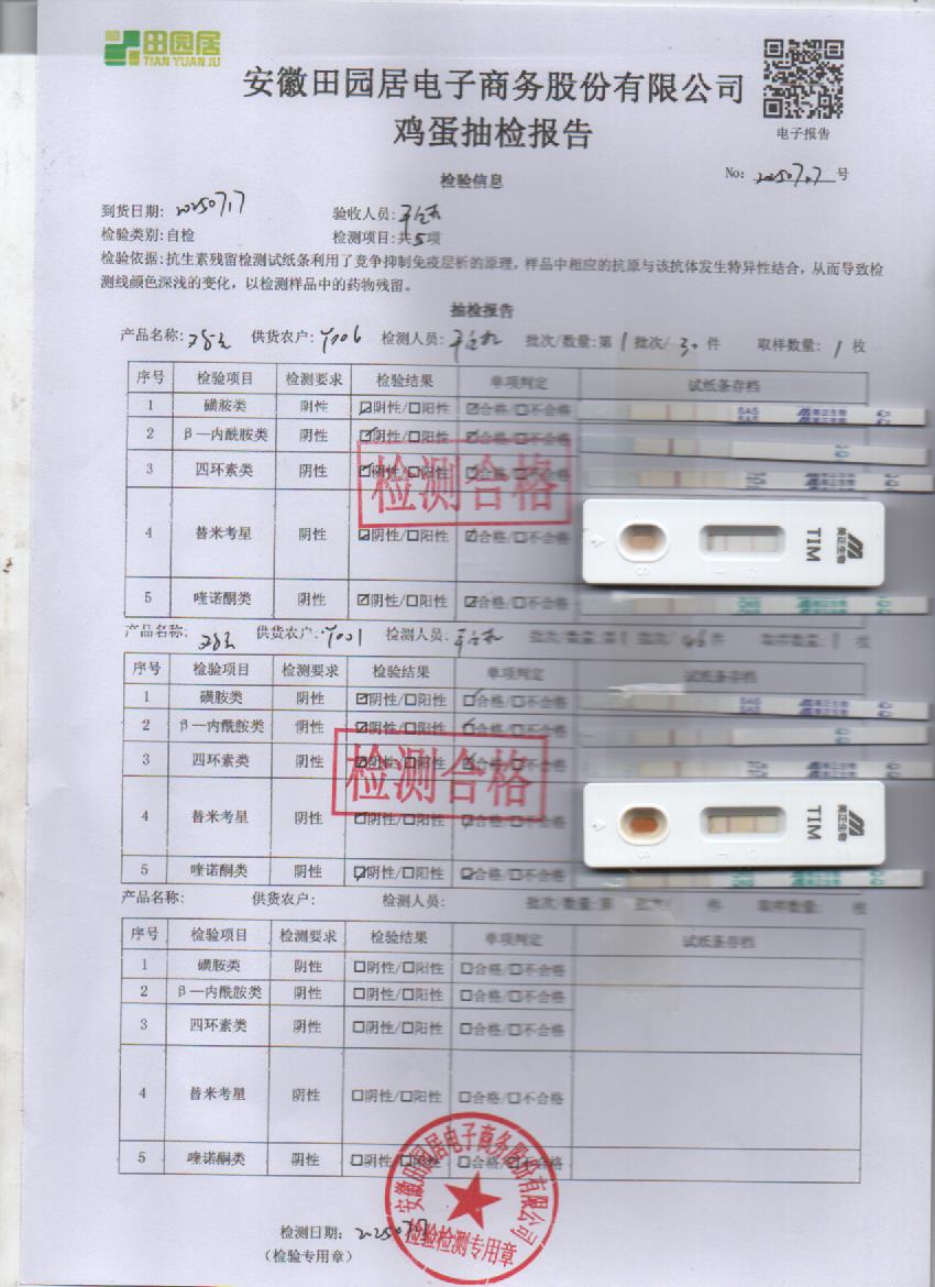 2025年7月17号鲜鸡蛋检测报告