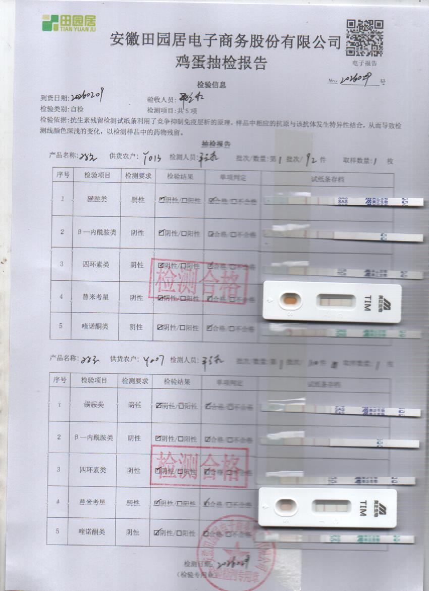 2026年2月9号鲜鸡蛋检测报告