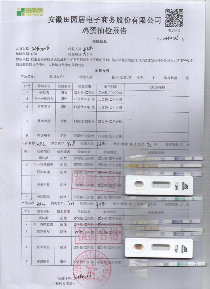 2026年2月6号鲜鸡蛋检测报告