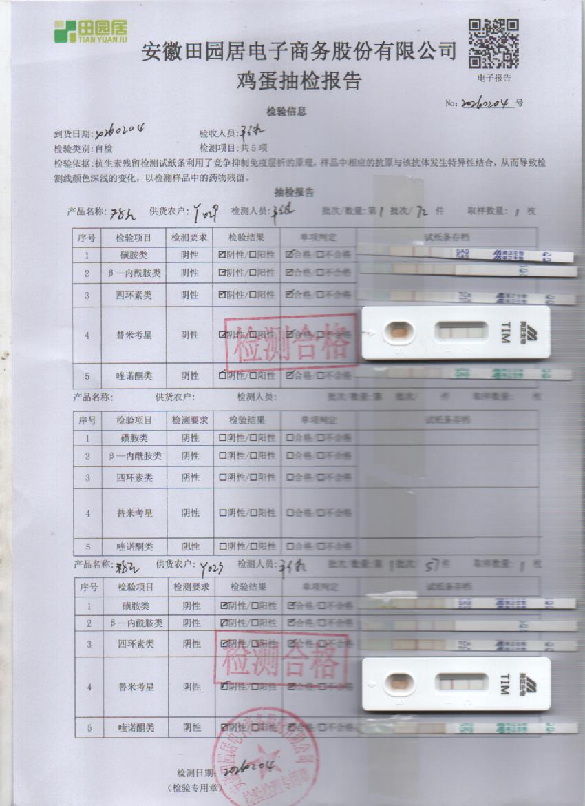 2026年2月4号鲜鸡蛋检测报告