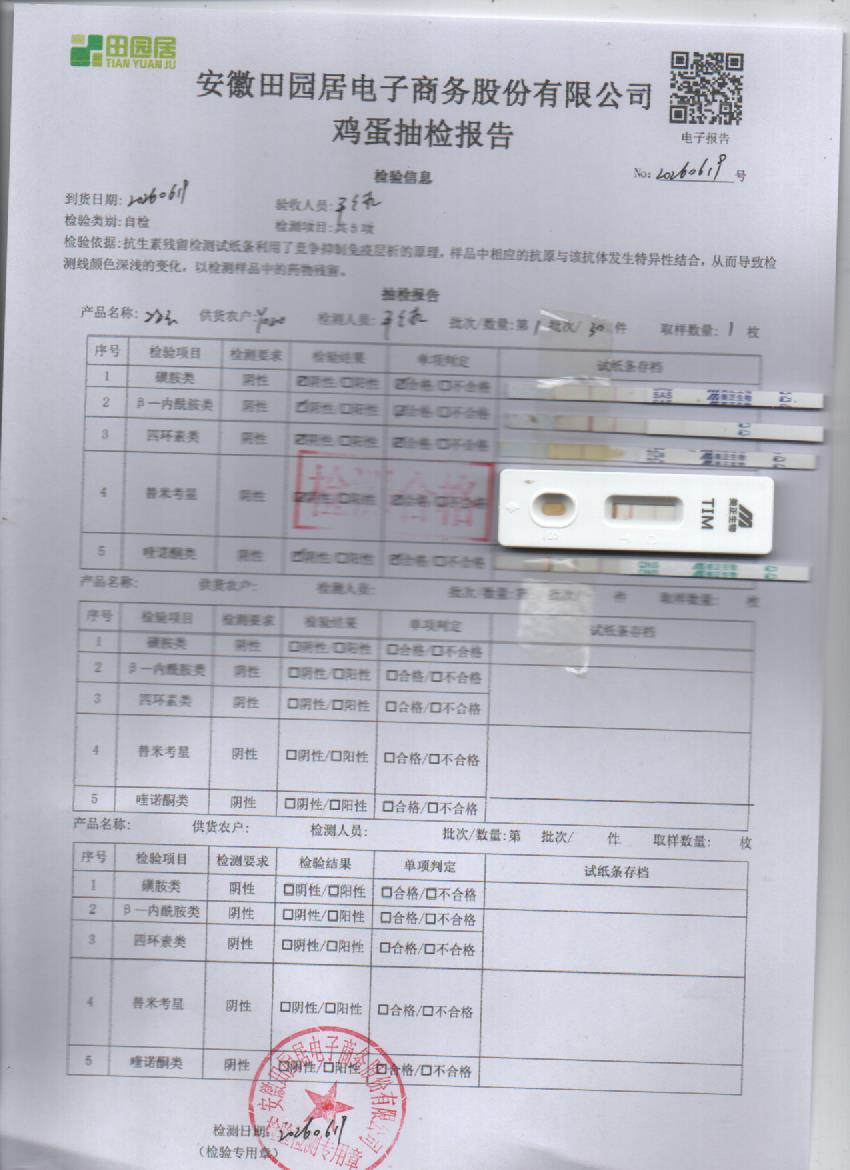 2026年6月19号鲜鸡蛋检测报告