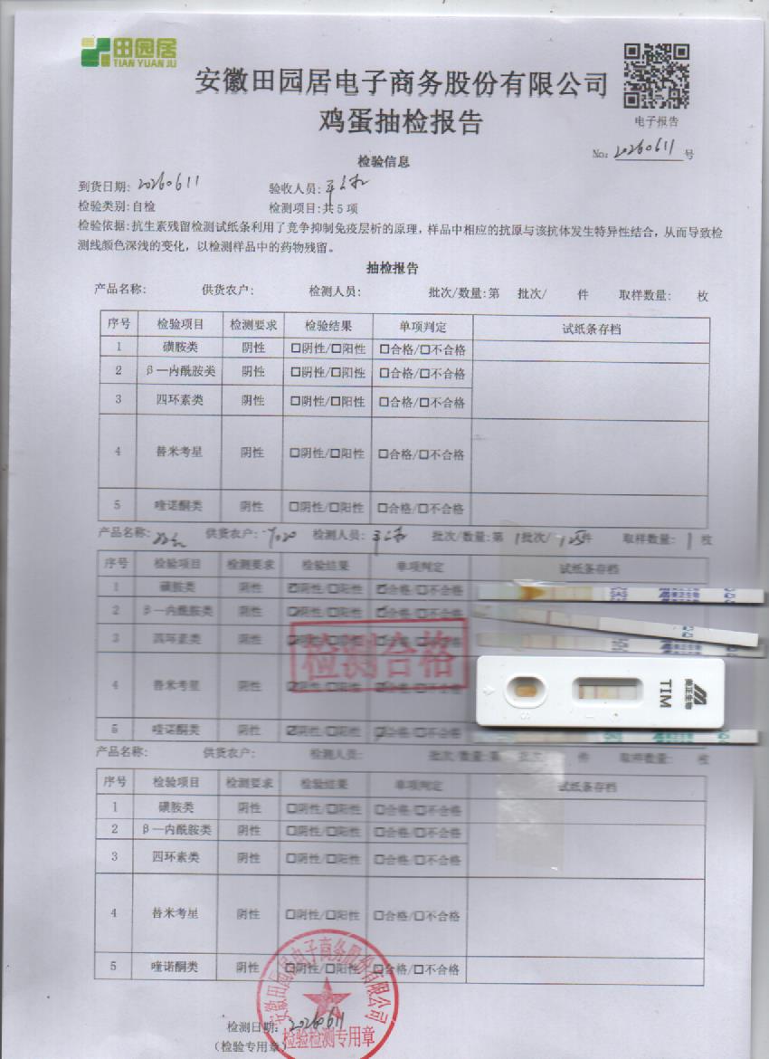 2026年6月11号鲜鸡蛋检测报告