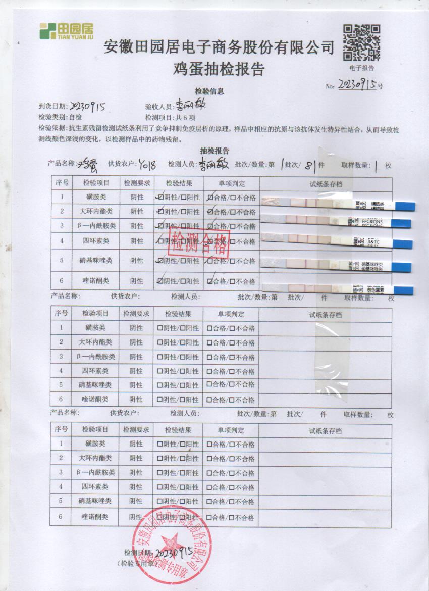 2023年9月15号鲜鸡蛋检测报告
