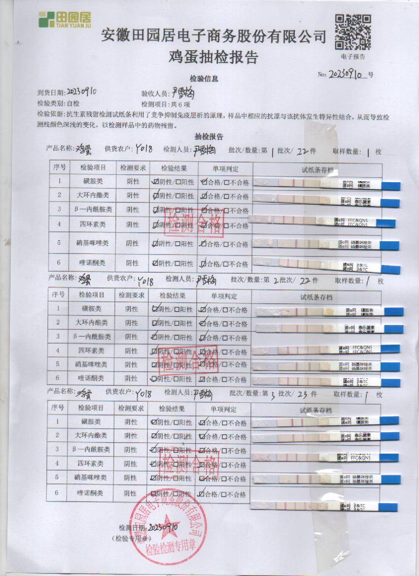 2023年9月10号鲜鸡蛋检测报告
