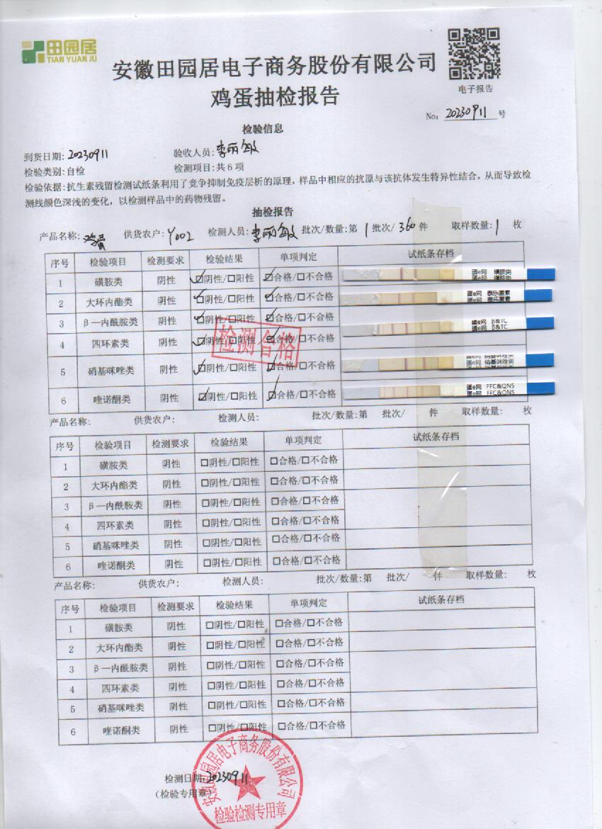 2023年9月11号鲜鸡蛋检测报告